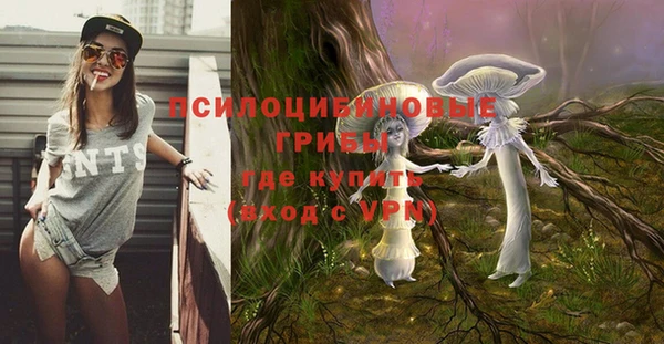 марки nbome Алексеевка