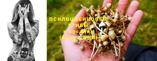 твердый Абинск